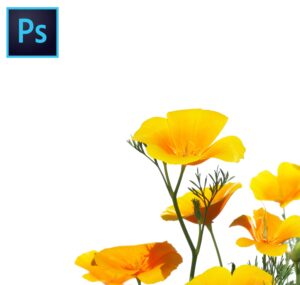 photoshop